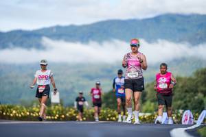 BIB: 
                            <button type="button" onclick="openModal(26542576)" class="btn btn-primary btn-sm float-right btn-popup" data-toggle="modal" data-target=".modal-high-quality">
                        <i class="fas fa-shopping-cart"></i> Add to Cart
                    </button>
                                            <button type="button" onclick="isThisMe(26542576, true)" class="btn btn-success btn-sm float-right btn-popup btn-isme hidden" data-toggle="tooltip" data-placement="bottom" title="นี่คือรูปของคุณใช่ไหม คลิกที่นี่เพื่อเอาเข้าอัลบั้ม">
                        <i class="fas fa-plus"></i> Add to album
                    </button>
                    <button type="button" onclick="isThisMe(26542576, false)" class="btn btn-warning btn-sm float-right btn-popup btn-isnotme hidden">
                        <i class="fas fa-ban"></i> Remove from album
                    </button>